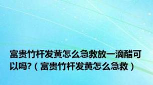 富贵竹杆发黄怎么急救放一滴醋可以吗?（富贵竹杆发黄怎么急救）