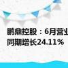 鹏鼎控股：6月营业收入同期增长24.11%