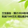 兰生股份：预计2024年半年度净利润7500万元 同比减少61%