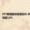 PET铜箔板块震荡拉升 中一科技涨超12%