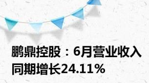 鹏鼎控股：6月营业收入同期增长24.11%