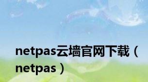 netpas云墙官网下载（netpas）