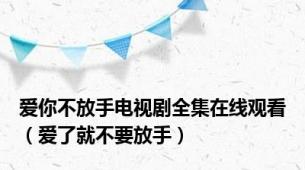 爱你不放手电视剧全集在线观看（爱了就不要放手）