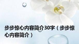 步步惊心内容简介30字（步步惊心内容简介）