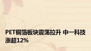 PET铜箔板块震荡拉升 中一科技涨超12%