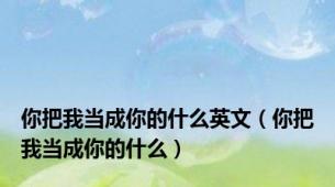 你把我当成你的什么英文（你把我当成你的什么）