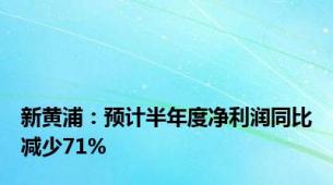 新黄浦：预计半年度净利润同比减少71%