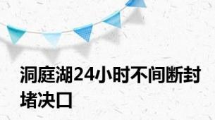 洞庭湖24小时不间断封堵决口