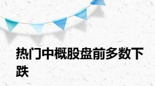 热门中概股盘前多数下跌