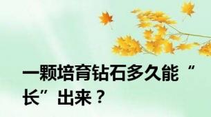 一颗培育钻石多久能“长”出来？