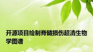 开源项目绘制脊髓损伤超清生物学图谱