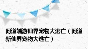 问道端游仙界宠物大逃亡（问道新仙界宠物大逃亡）