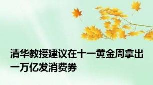 清华教授建议在十一黄金周拿出一万亿发消费券