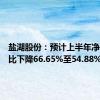 盐湖股份：预计上半年净利润同比下降66.65%至54.88%