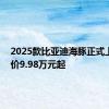 2025款比亚迪海豚正式上市 售价9.98万元起