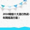 2010网络十大流行热词（2010年网络流行语）