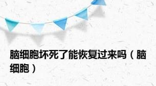 脑细胞坏死了能恢复过来吗（脑细胞）