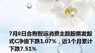 7月8日合煦智远消费主题股票发起式C净值下跌1.07%，近1个月累计下跌7.51%