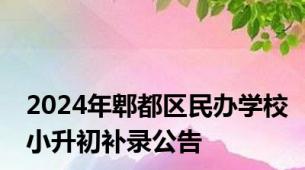 2024年郫都区民办学校小升初补录公告