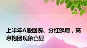 上半年A股回购、分红飙增，高息抱团现象凸显