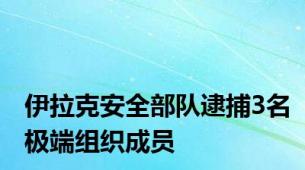 伊拉克安全部队逮捕3名极端组织成员