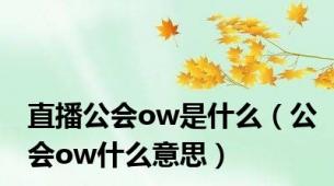 直播公会ow是什么（公会ow什么意思）