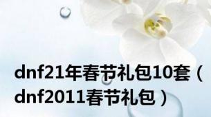 dnf21年春节礼包10套（dnf2011春节礼包）