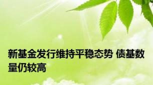 新基金发行维持平稳态势 债基数量仍较高