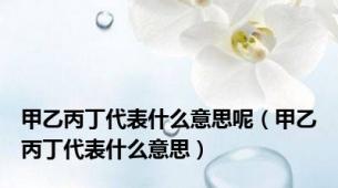 甲乙丙丁代表什么意思呢（甲乙丙丁代表什么意思）