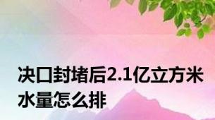 决口封堵后2.1亿立方米水量怎么排