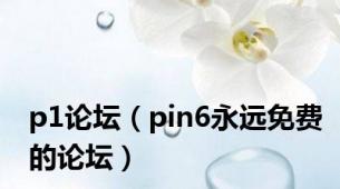 p1论坛（pin6永远免费的论坛）