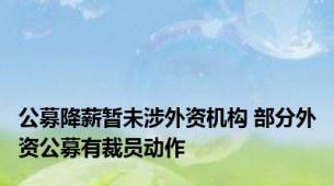 公募降薪暂未涉外资机构 部分外资公募有裁员动作