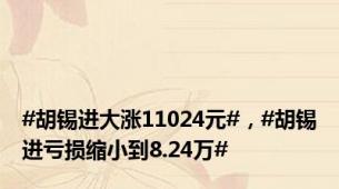 #胡锡进大涨11024元#，#胡锡进亏损缩小到8.24万#