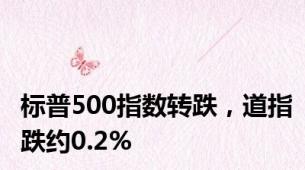 标普500指数转跌，道指跌约0.2%