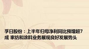 孚日股份：上半年归母净利同比预增超7成 家纺和涂料业务展现良好发展势头