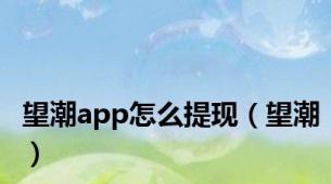 望潮app怎么提现（望潮）