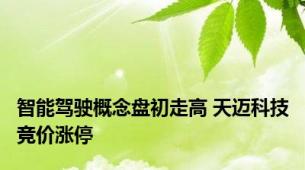 智能驾驶概念盘初走高 天迈科技竞价涨停