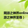 网游之神界online（网游之神界至尊）