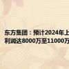 东方集团：预计2024年上半年净利润达8000万至11000万元