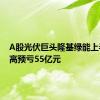 A股光伏巨头隆基绿能上半年最高预亏55亿元