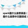 spark是什么意思英语（spark是什么意思中文翻译成）