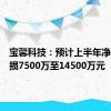 宝馨科技：预计上半年净利润亏损7500万至14500万元