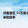 河套灌区 55万亩小麦迎来收获季