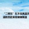 “二师兄”扛不住高温天气了，消防员赶来给猪猪降温