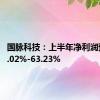 国脉科技：上半年净利润预增36.02%-63.23%