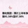 雅化集团：预计上半年净利润下降91.58%至87.38%