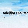 sole例句（solitary例句）