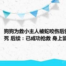 狗狗为救小主人被蛇咬伤后刨坑等死 后续：已成功抢救 身上留有伤痕