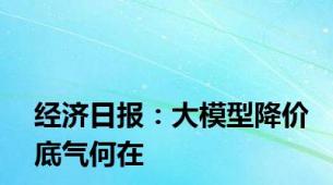 经济日报：大模型降价底气何在