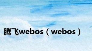 腾飞webos（webos）